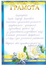 Грамота заведующего МДОУ "Бурашевский детский сад" - 2017 год